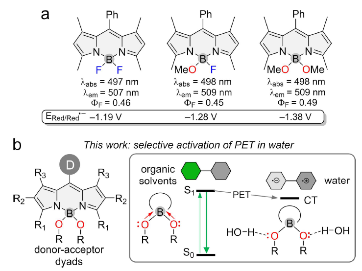 Boron-Chem-Research tweet media