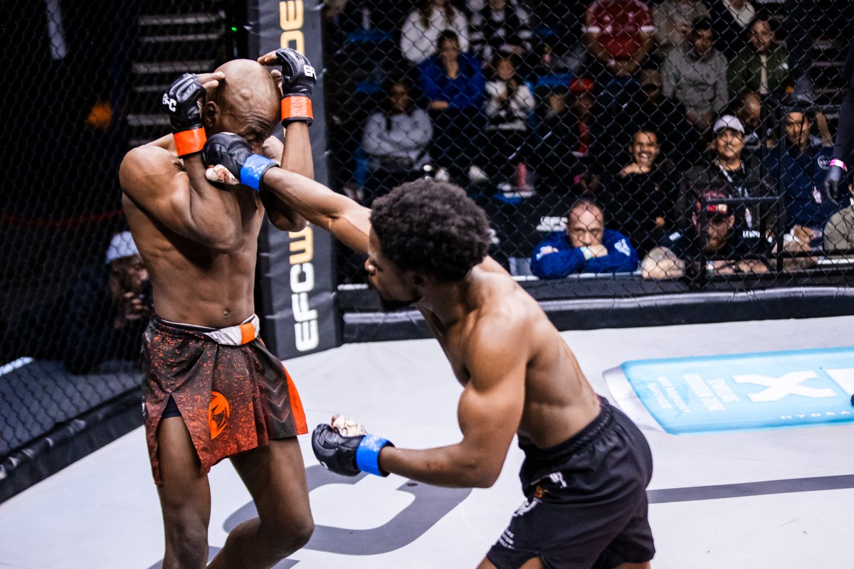 EFCworldwide's tweet photo. UD for ‘Feral Spunky’
#EFC134 https://t.co/s505vpZPC3