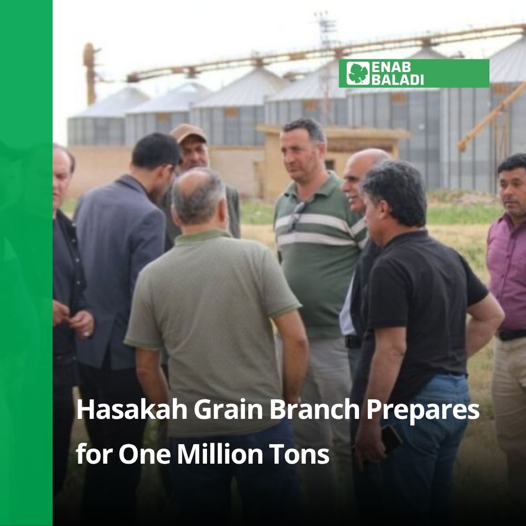 EnabBaladi_Eng's tweet photo. Al-Hasakah is preparing to receive up to one million tons of wheat in 2026, with 20 centers ready, an electronic turn system, and a first-grade purchase price of 5.5 million Syrian pounds per ton.
https://t.co/L1lFq04XJh
#EnabBaladi https://t.co/z2Gd9DFIWK