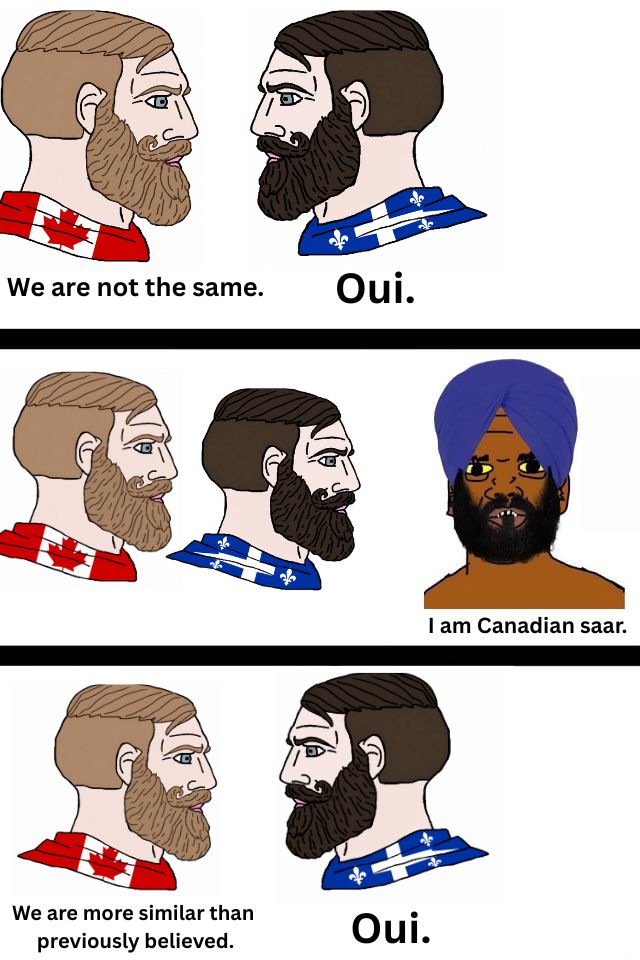 DanielTyrie's tweet photo. I long for the days when we can go back to squabbling between Anglo and Franco Canadians.

But right now we need to put aside our difference and unite in defense of our shared heritage.

Remigration is our shared struggle to protect what our ancestors built. https://t.co/YQU0vLUofK
