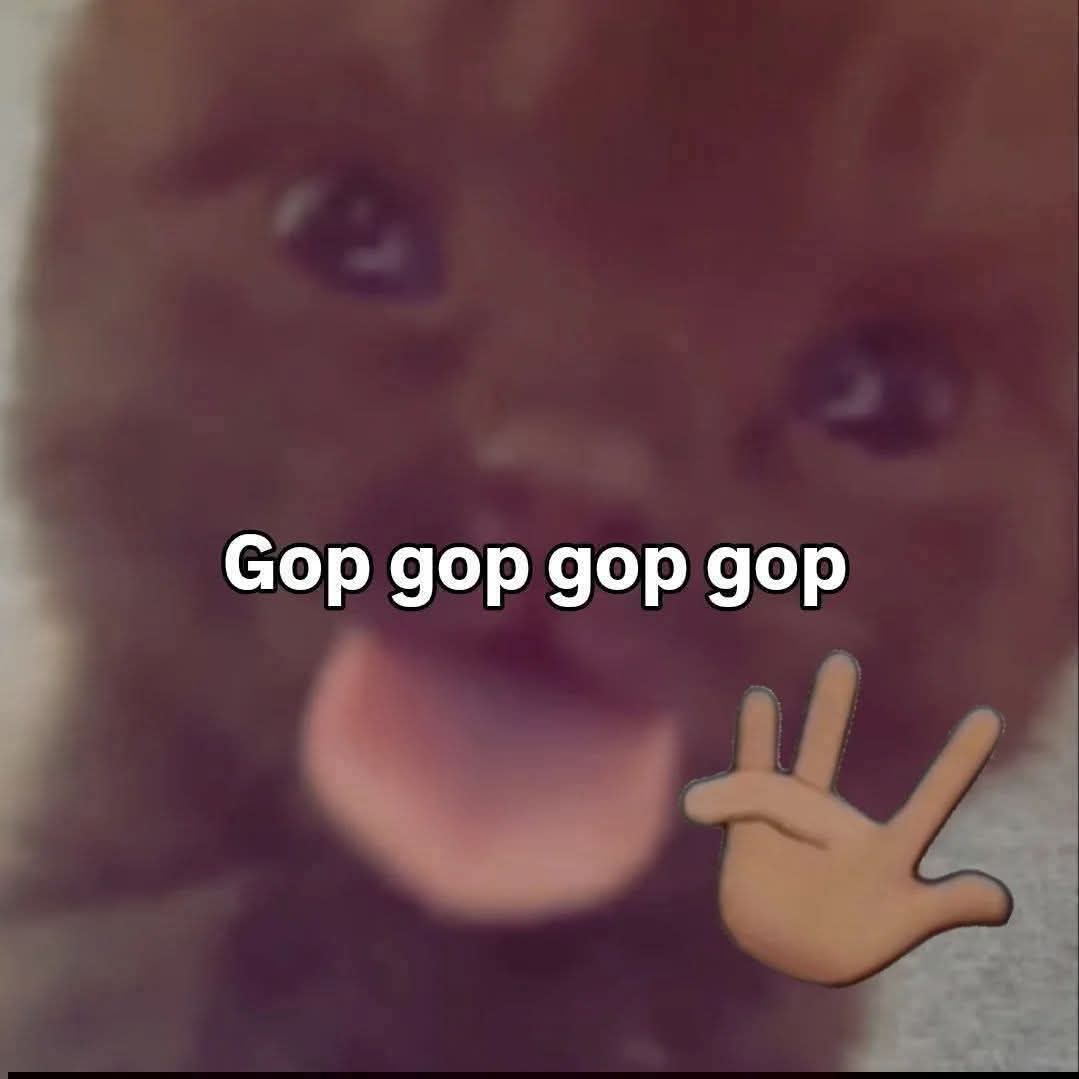 rogueriddle's tweet photo. 😂😂😂 https://t.co/AIjA2xLgb1