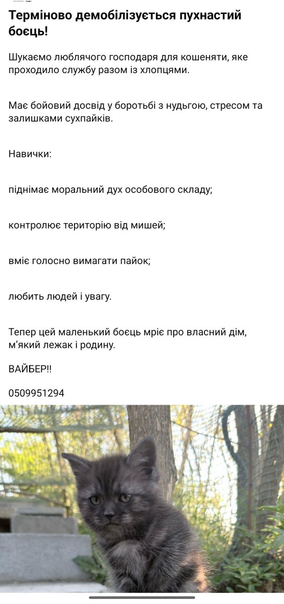 avocado2288's tweet photo. Ох, і кіт https://t.co/CJLkCO9I2A