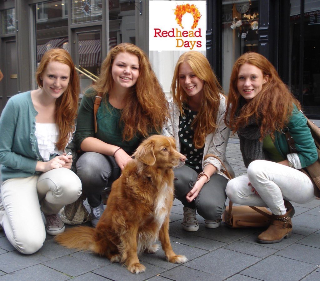 TheRedheadDays's tweet photo. Between the Redheads! #WhereToLookForTheDog https://t.co/SLC65qPz4R