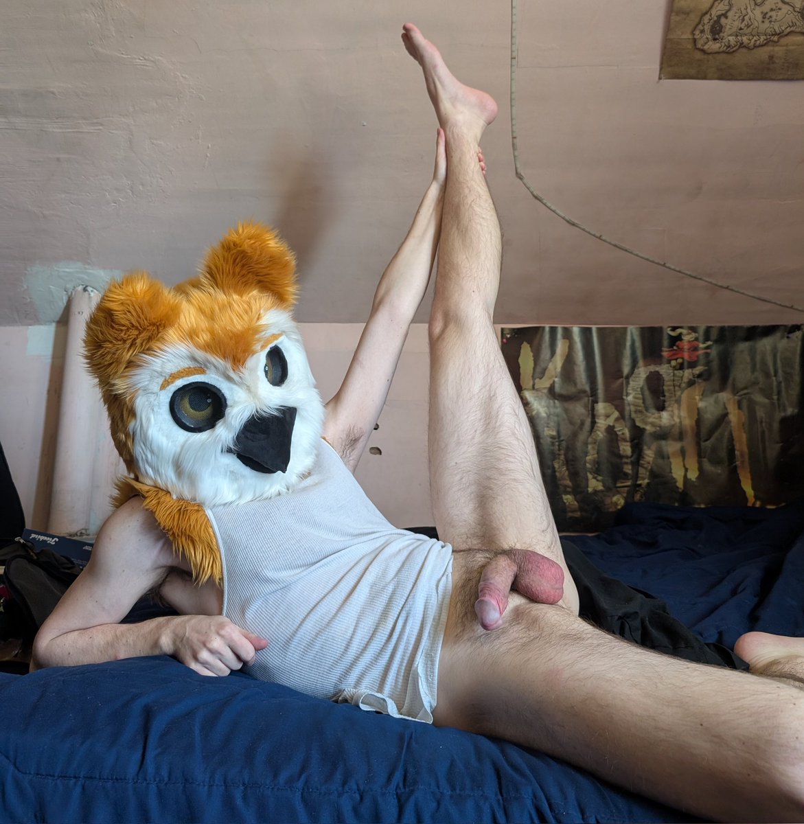 DukeOwlLewds's tweet photo. Don't forget to do your stretches today! Drink water too furfags! https://t.co/0iyuqLwp4Q