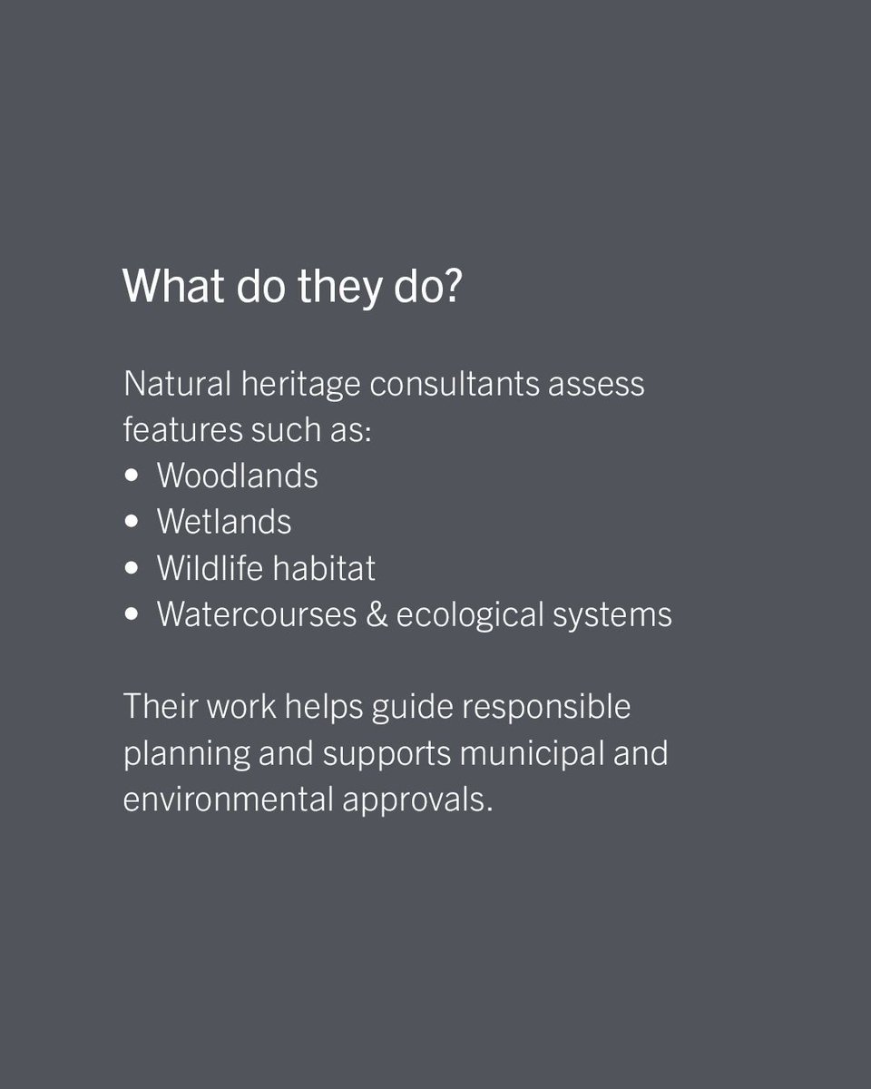 TercotHomes's tweet photo. At Tercot, thoughtful planning remains an important part of building future communities. 

Today, we look at Natural Heritage Consultants and what they do. 

Swipe for more info. ➡️

#Housing #Development #OntarioRealEstate #LandDevelopment #TercotCommunities https://t.co/kIIN5hhd6i