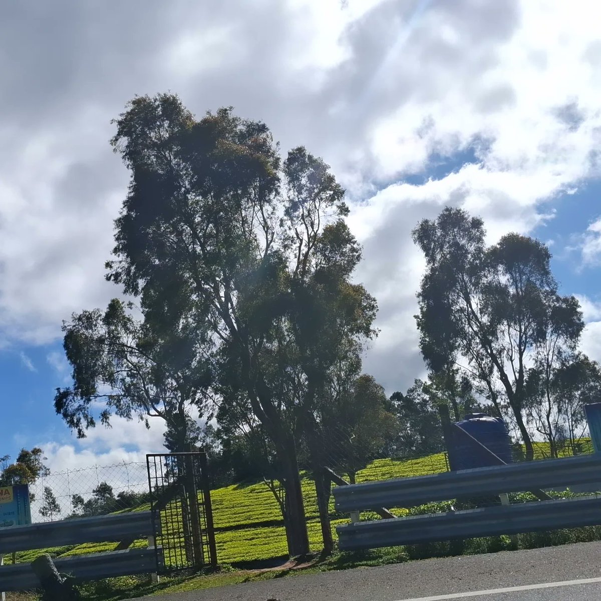 Ray_S08's tweet photo. #Ooty https://t.co/KGwQeBOqPY