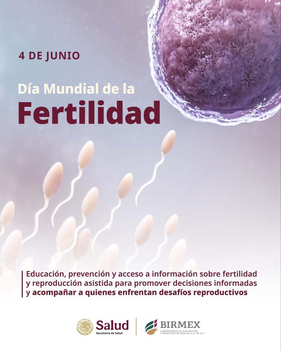 Birmex's tweet photo. #4dejunio | Día Mundial de la Fertilidad

La salud reproductiva merece información, atención y acompañamiento.

En esta fecha, promovemos la importancia de la prevención, el cuidado de la salud y el acceso oportuno a servicios médicos especializados. 🌱

#DíaMundialDeLaFertilidad https://t.co/HjBgY203cn