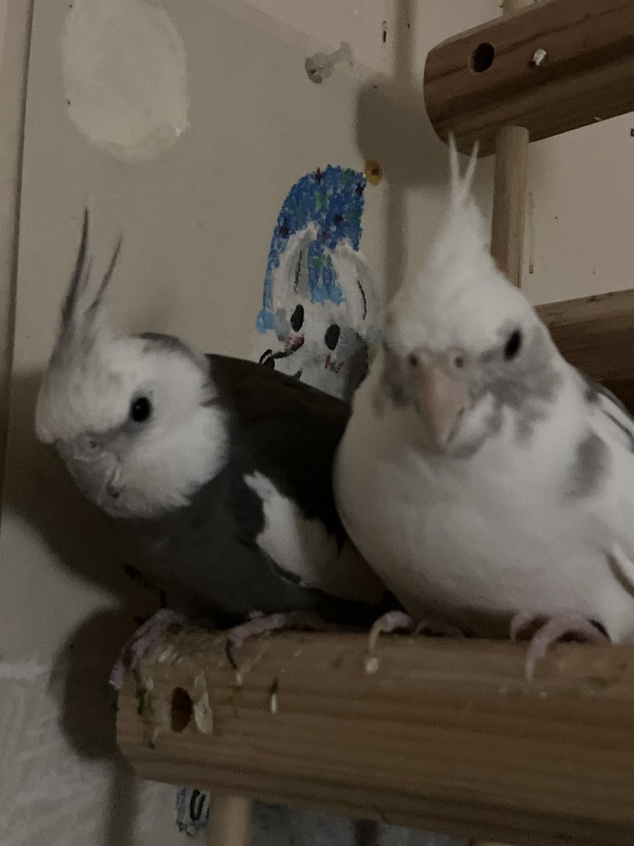 cryingbasil tweet media
