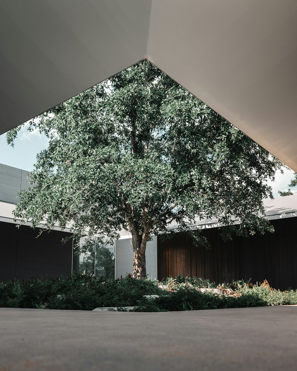 xurbanxcowboyx's tweet photo. Some of y'all need to chill out, wander through the Menil Collection, then walk on down to the Rothko Chapel and sit for a spell. https://t.co/Hdz1YikRT5