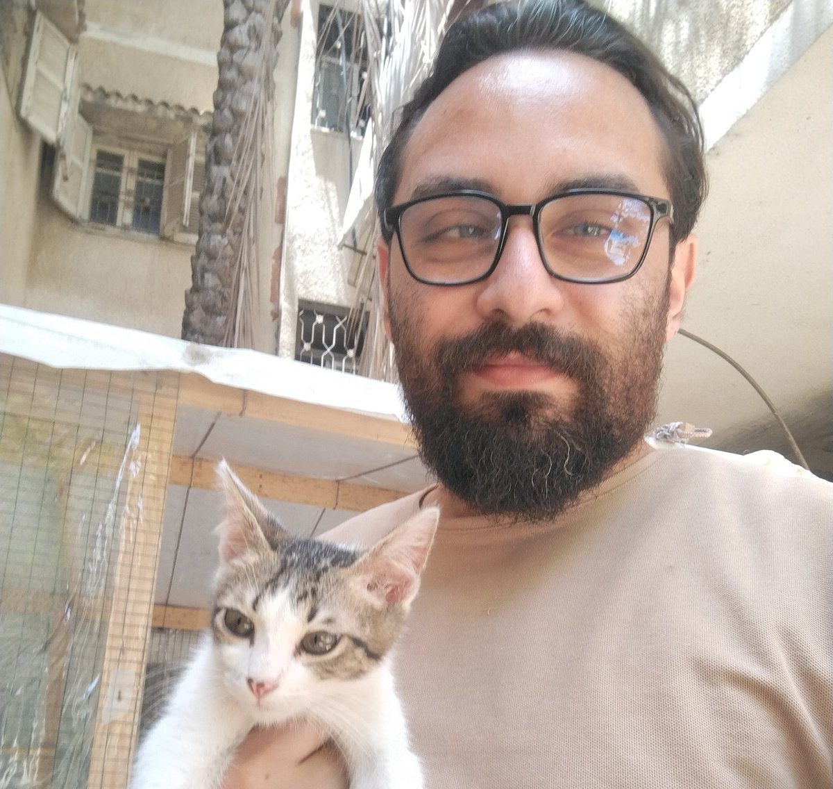 osamamatter1's tweet photo. “Leo is asking for help for himself and the other cats, and sends you his warmest greetings. Thank you for your support 🤍🐾”
 
📍https://t.co/FXJLYwgYD7
📍https://t.co/OAgaPpRJRV https://t.co/x971z7aeIz