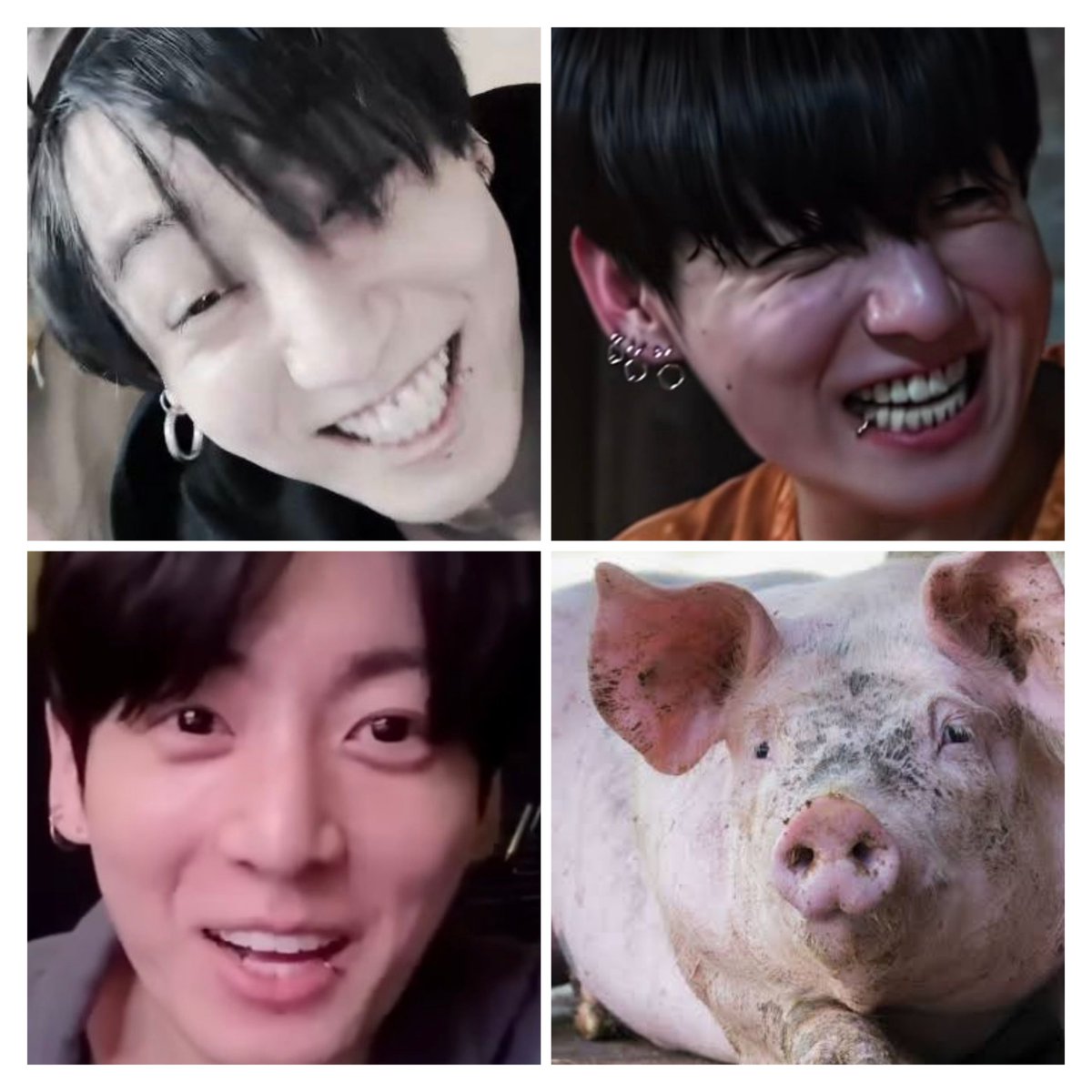 swordsmanpjm's tweet photo. Dragging jm for a set up account  using edit pics when u stan this pig here 😭 https://t.co/bvfHCAMla8