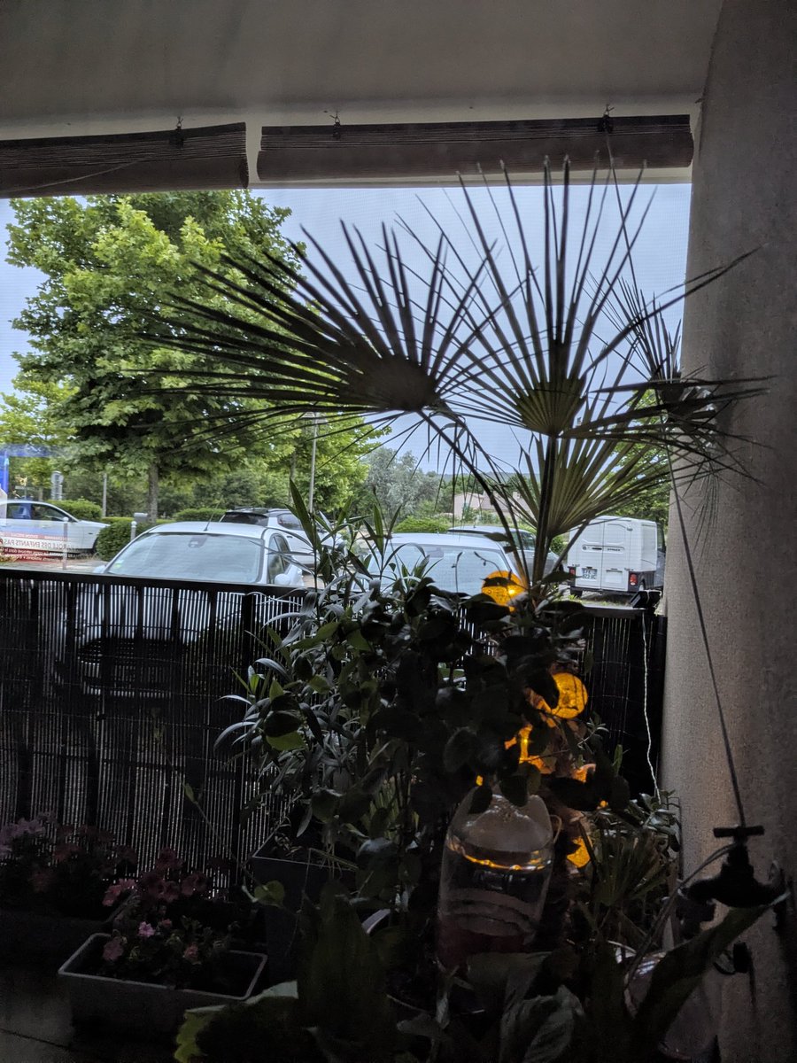 Pascal84240's tweet photo. Changement de temps dans l'après-midi, après un orage, maintenant c'est la pluie et la fraîcheur 😬 
Demain ☀️☀️
Bonne soirée à tous 😘😘 https://t.co/Tt1kI8NxoX