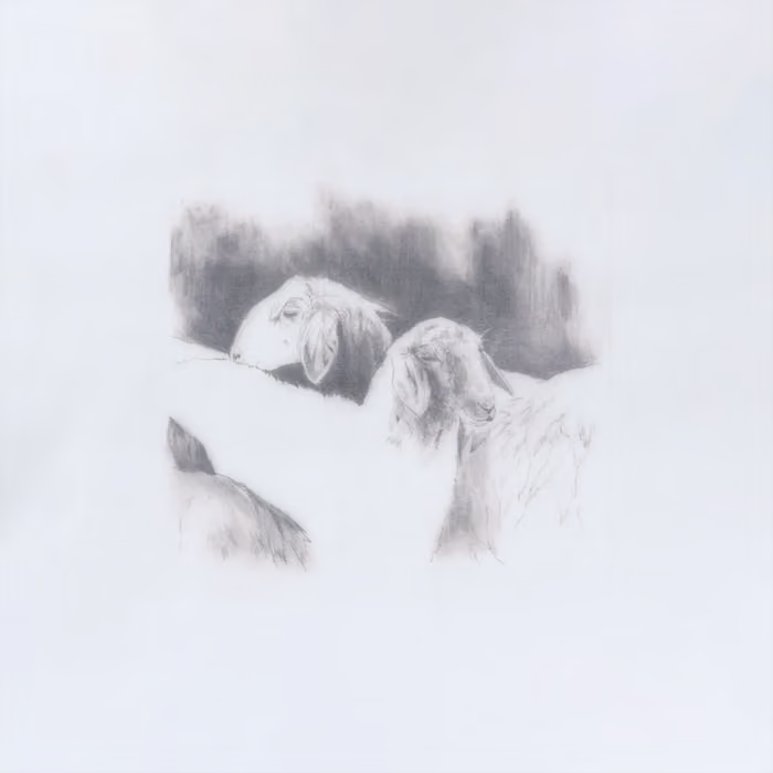 favthingpod's tweet photo. Favorite Albums of Q2

• K Wata - Give U Space
• Ana Roxanne - Poem 1
• Lavurn - Baby It Cold Outside
• Memotone - Warm Shadows https://t.co/wFCED3loHy
