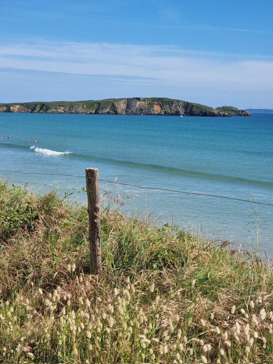 celine29m's tweet photo. Plage et île de l'Aber 🌊🌾🐚
Quand c'était encore un peu l'été ! 
📍Presqu'île de Crozon 
#Bretagne #Finistere #PennArBed #Bzh https://t.co/sCxVdBDJv9