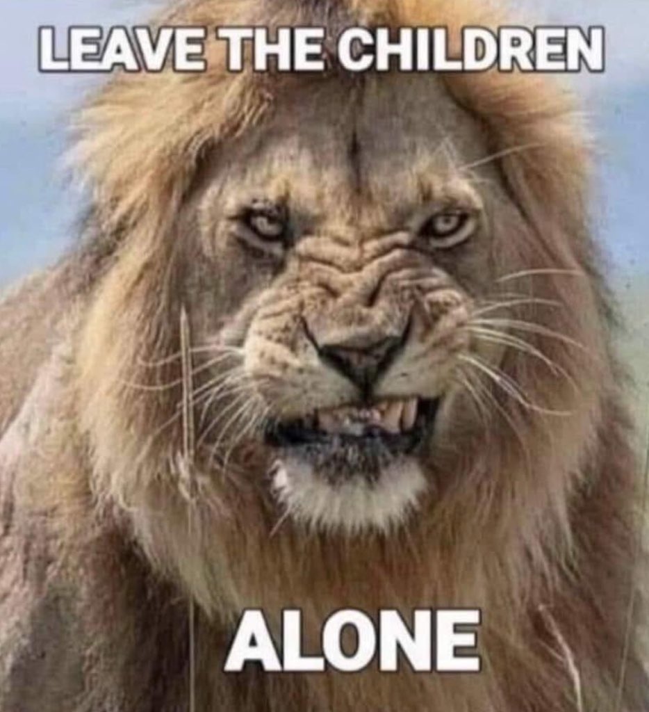 CTLake14Patriot's tweet photo. @MarkFrom34375 @CTDems @CTGOP @libsoftiktok Nobody cares who’s gay or not. Until they started after the children….. https://t.co/HGfc9y0rNe