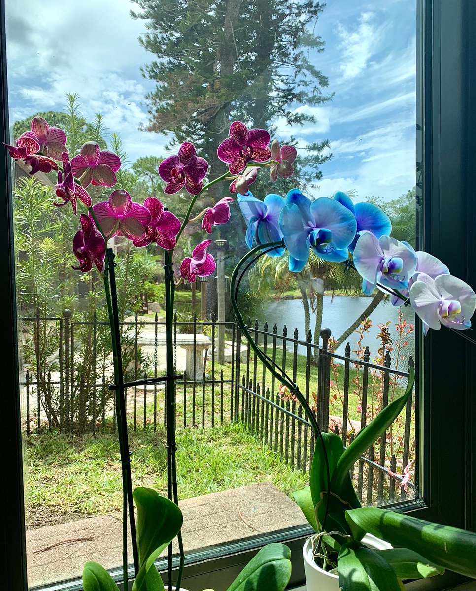 FrumbleFoot's tweet photo. Bloom together! https://t.co/otknNy5Nwm