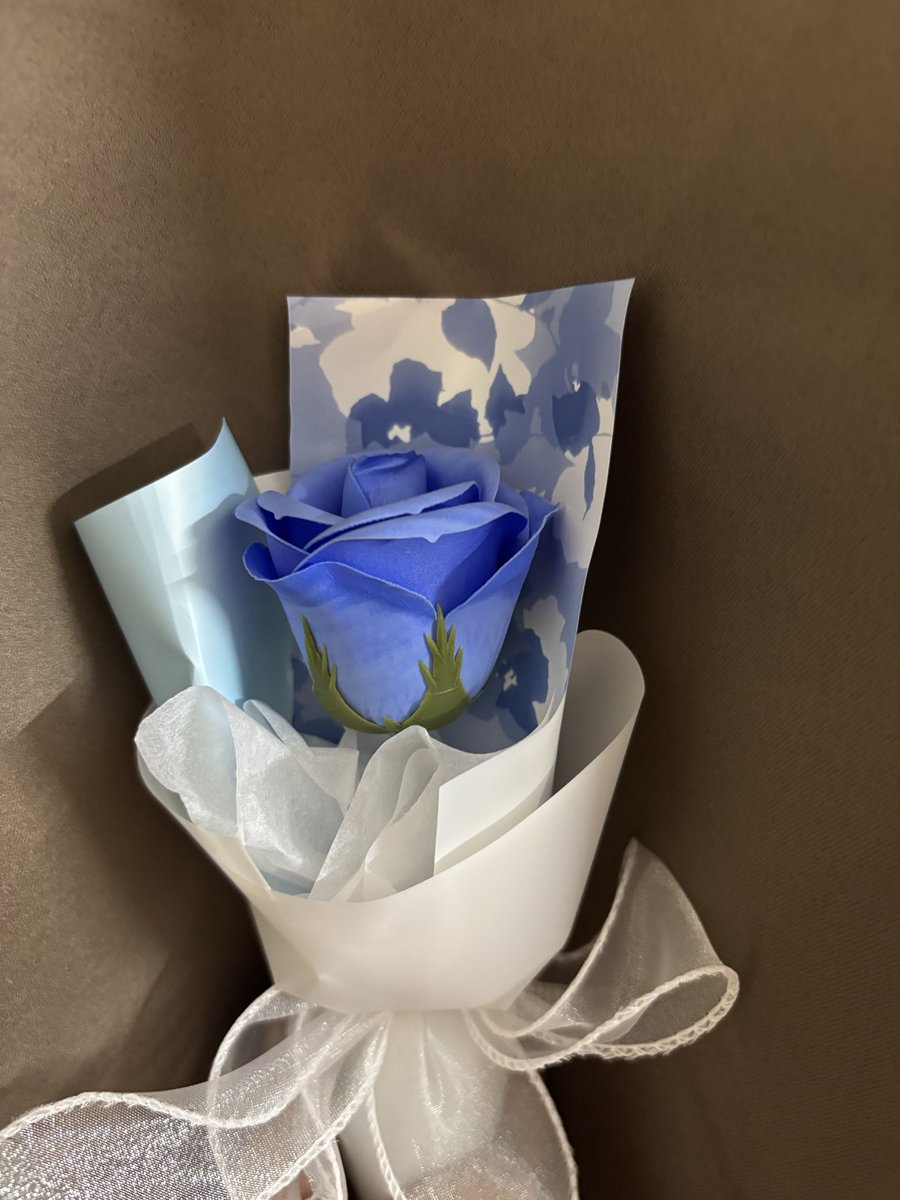 crazy_zerose_'s tweet photo. Went out today and found this blue rose, maybe it’s no longer important for the concepts but when I saw it I couldn’t help but think of the nine boys that shined together and the happiness they brought to me..I really love being a zerose even tho it hurts like crazy https://t.co/1bugNCOhEP