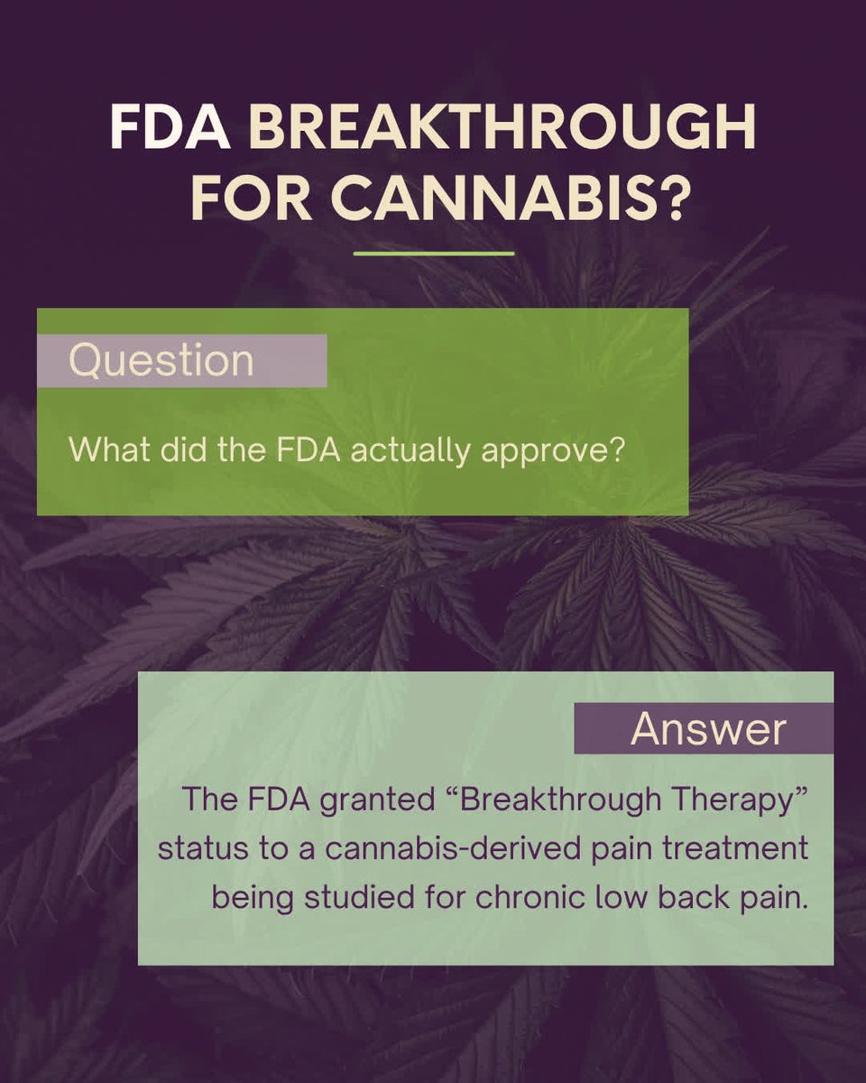mmtcfl's tweet photo. Did the FDA just approve cannabis?

No, that's not what this means.

The FDA recently granted Breakthrough Therapy designation to VER-01, an investigational full-spectrum cannabis extract being studied for chronic low back pain.

This designation is des...
https://t.co/A4DhHp05lQ https://t.co/gGSXazzTq8