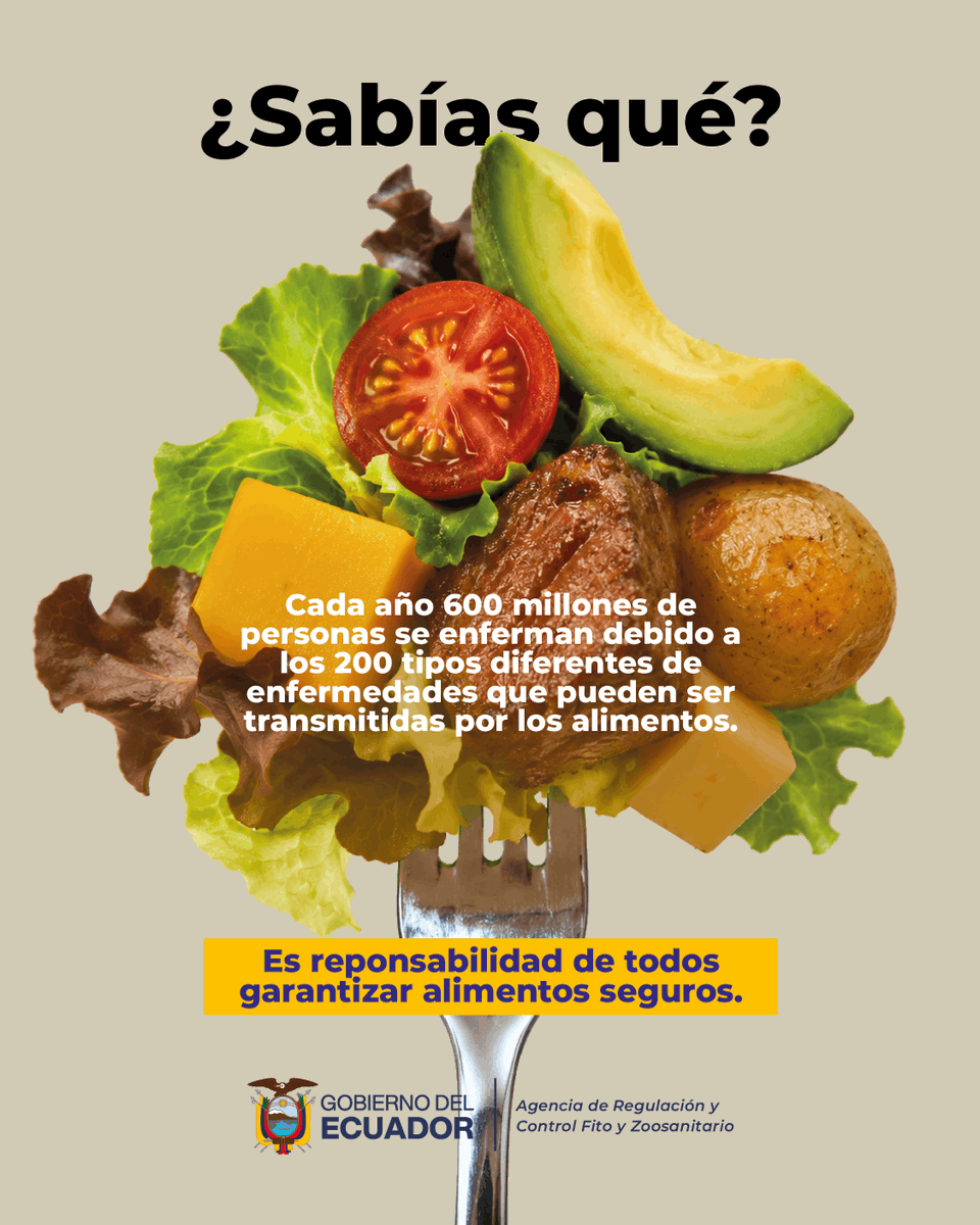 AgrocalidadEC's tweet photo. 🥑El #DíaMundiaDeLaInocuidad tiene como objetivo crear conciencia e inspirar acciones para ayudar a prevenir, detectar y gestionar los riesgos de enfermedades transmitidas por los alimentos 🍅.
#ProtegemosLoQueConsumes https://t.co/0ESgNqUJS8