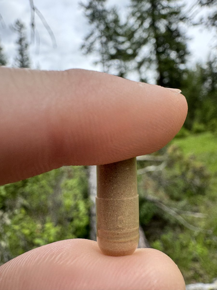 DevonBuildHappy's tweet photo. @omgsidewalks Purpose, diet, exercise, love of self and forgiveness. Then to help concrete it all into form, micro dosing psilocybin., https://t.co/Km8Ub1xcnK