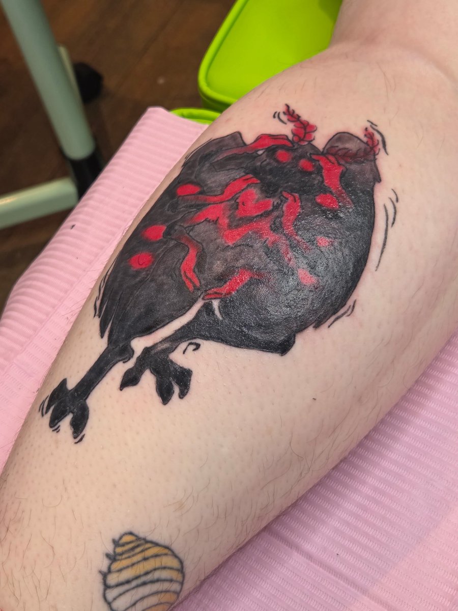 Shadow_Rora's tweet photo. He’s done!!!  I’ll get another picture once he’s healed in a few weeks. https://t.co/czyf6iII3M