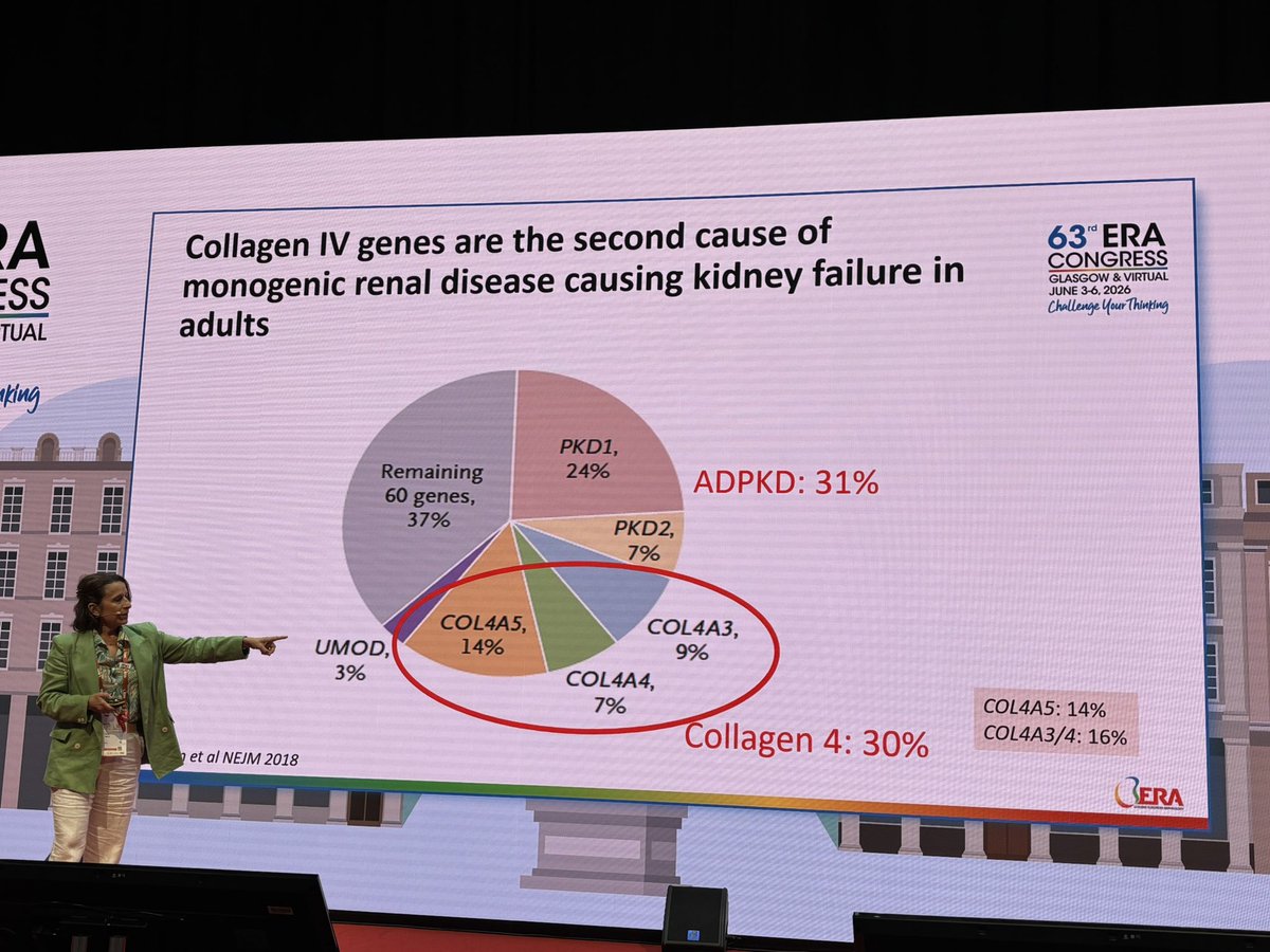 Rasha_Darwish_'s tweet photo. @torra_roser giving an excellent presentation about #alport syndrome - Doubt in unexplained FSGS-It’s the second most common genetic kidney disease-Hopes in the future for more efficient treatment! @ERAkidney #ERA26 https://t.co/qxJW5HsxrK