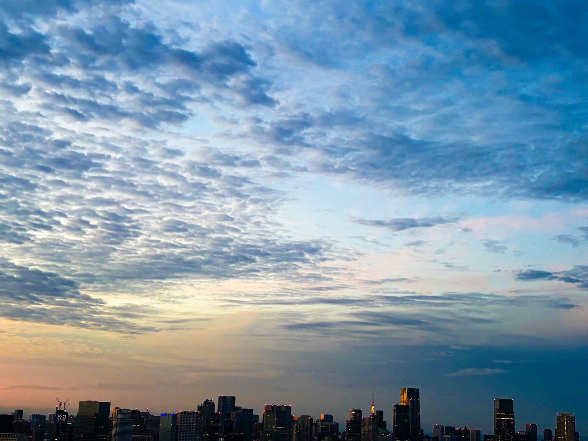 schazzie's tweet photo. 𝐺𝑜𝑜𝑑 𝑚𝑜𝑟𝑛𝑖𝑛𝑔︎ ☕️🍃

うろこ雲の夜明け。
今日も一日曇りですね。
日曜日には☂️の予報。

𝐇𝐚𝐯𝐞 𝐚 𝐧𝐢𝐜𝐞 𝐝𝐚𝐲🌱 https://t.co/usqMVyaOBy
