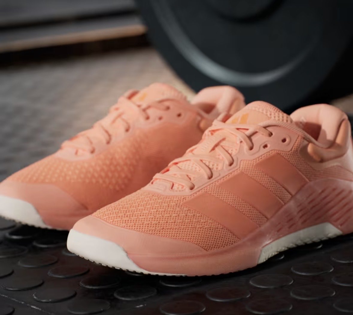 PaoEncisoDGar's tweet photo. @adidasMX Lo que pedí y lo que me llegó, mínimo le hubieran puesto una leyenda que el color en sus fotos pueden varear ahora me siento Mariana Rodríguez con los #FosfoFosfo https://t.co/CcEFrz7CqK