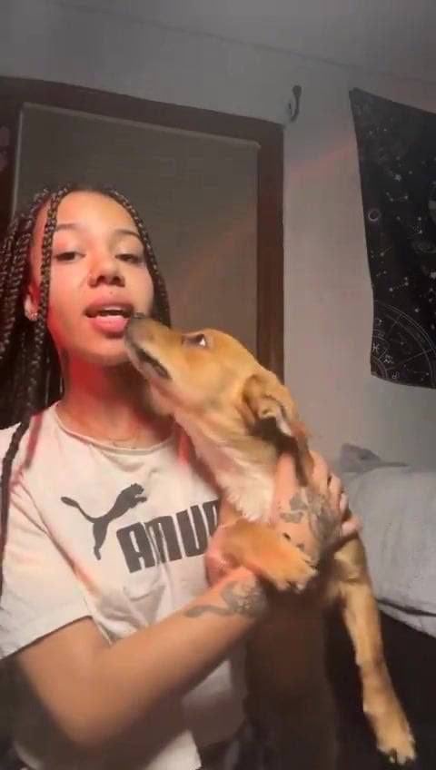 knottydoggies's tweet photo. Tap link for my knotty contents 🐶❤️ https://t.co/u6Dkredpkv

#doglover #DogMomLife #dogknotting #zoopride #k9bitch #antizoo #beastiality #knotty #dogbitch #k9girl https://t.co/YwbAhCTrpQ