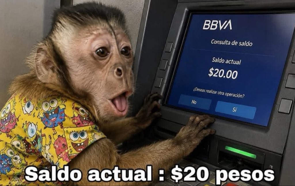 HalconFro's tweet photo. Estás en la mejor etapa de tu vida
Yo: https://t.co/KqDVlY3aH9