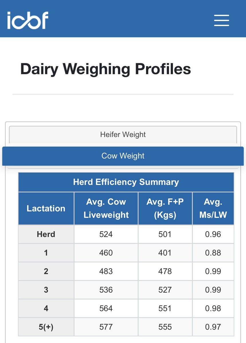 SalesianAg's tweet photo. All cows weighed today by @HerdPlus Nearly at the 1Kg of Milk Solids per 1Kg Liveweight on a grass based system https://t.co/AeTy2yLfl9