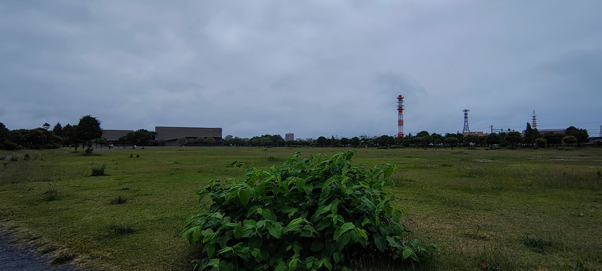 puruPera's tweet photo. 今朝は気温低めで霧雨。

#青森市 #青い森セントラルパーク https://t.co/SxmKeIwNX4