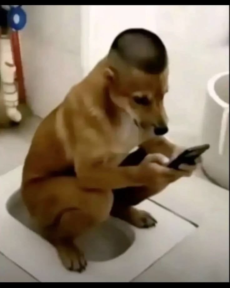 ꫝ.ché tweet media