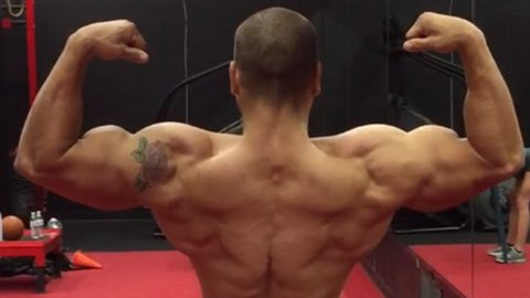 askMASS's tweet photo. "I am an athlete &amp; NPC #bodybuilding competitor... I have used your products starting in high school. Just ordered another round of Gamma GH &amp; Adaptogen N. Great stuff. I love it. Thank you for making great, real natural products that work." -Joseph Pace

https://t.co/z4S5VsNyl5 https://t.co/4zS0bP2UEV