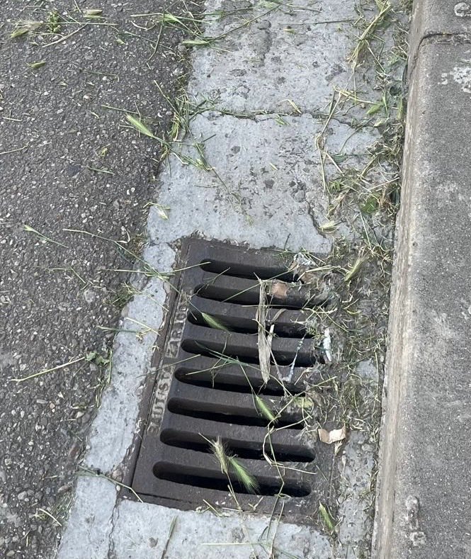 PSOEUtebo's tweet photo. El ayuntamiento debe mantener limpios los sumideros para que cumplan con la perfecta función de drenaje del sistema de alcantarillado. 
Después del desbroce de los alcorques es obligado limpiar!!!
#Utebo 👇 https://t.co/DVhiURuzK2