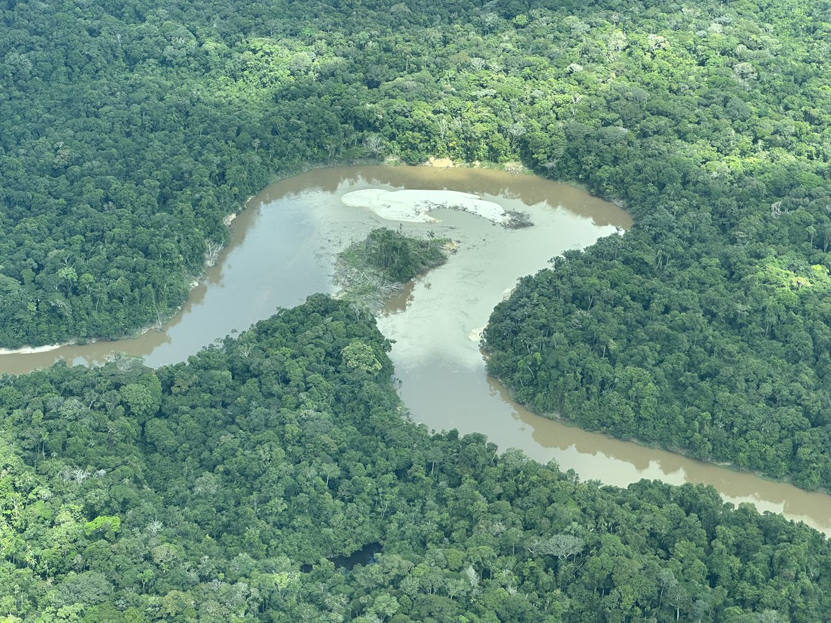 RodrigoboteroG's tweet photo. 500 años despues el oro sigue empujando la destrucción de  selvas y territorio de los ultimos pueblos indigenas que resistieron a la Conquista. Reto para nuevo Gobierno: seguridad, soberania fronteriza y garantia de derechos. Parque Nacional Puré, Territorio Yurí-Passe. @FcdsOrg https://t.co/LSZSlJ2IsN