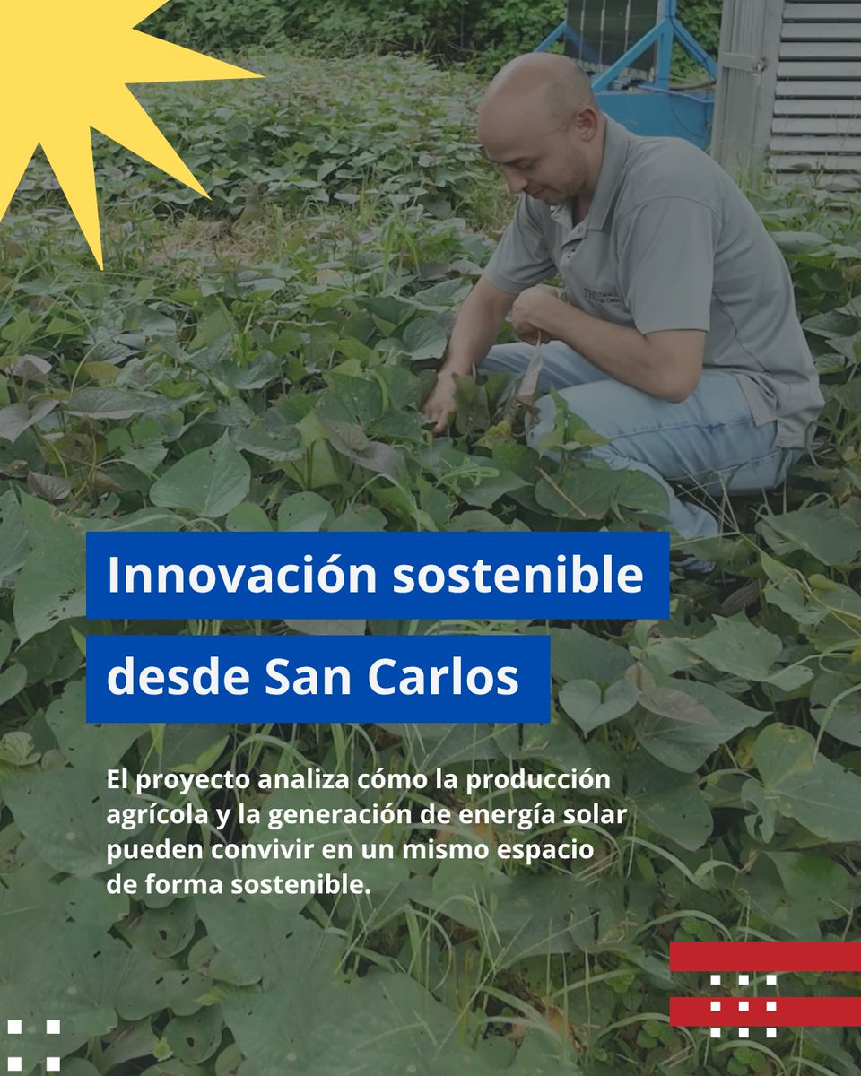 Teccr's tweet photo. El TEC construyó la primera instalación agrivoltaica de Costa Rica ☀️🌿 Un mismo terreno para cultivar alimentos y generar energía solar. Desde San Carlos, investigamos soluciones para la transición energética del país. #ElTECestáAhí #Agrivoltaica #SomosTEC https://t.co/etwDqvI5Ti