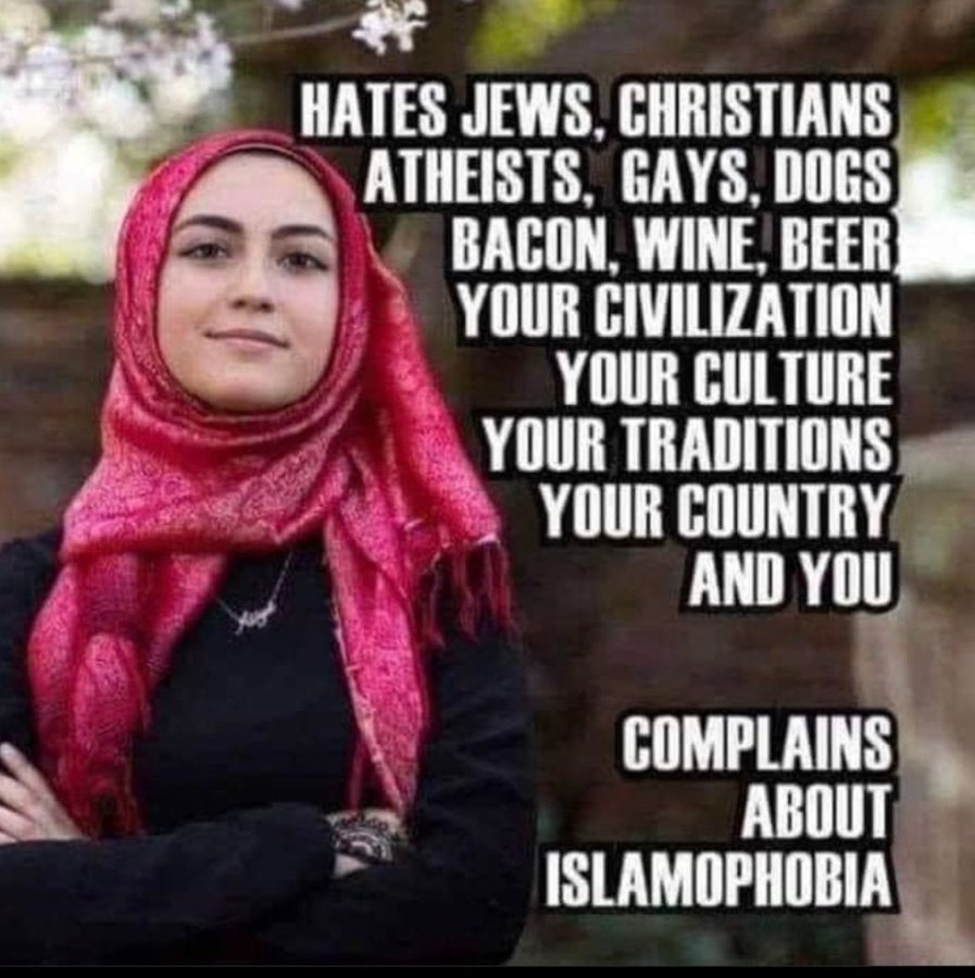 A_Moving_Target's tweet photo. @DavidJHarrisJr She cannot make a faithful oath to the Constitution of the United States of America - - none of them can. https://t.co/MXUXTpgVSC