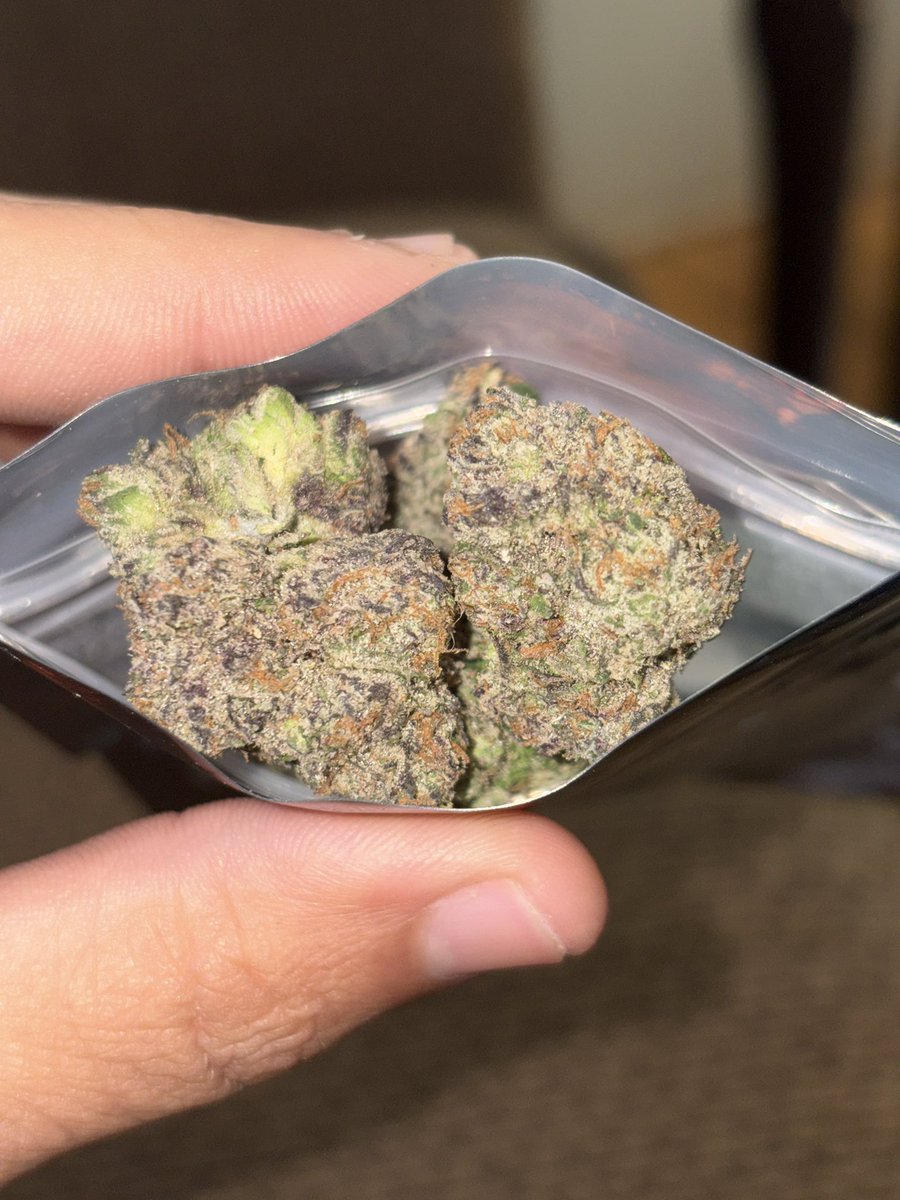 BobbyBoop1995's tweet photo. Experience premium weed and exotic strains, alongside a wide range of weed vapes, including disposable pens, edibles, hash, mushrooms, and pre-rolled joints. Plug available in the cities: Vancouver, Calgary, Seattle, Los Angeles, San Diego, Chicago, Boston, Miami, Denver, Atlanta https://t.co/OWiEgvgh8s