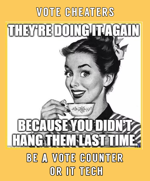 12he3's tweet photo. @KCPayTreeIt Go to your voter registrar to sign up and be a vote counter or IT tech. https://t.co/7wuPsXqbR5