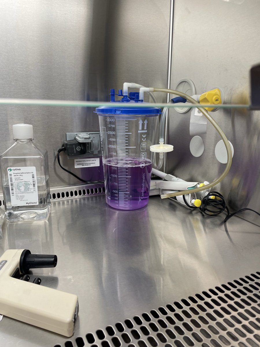 mrs_schang's tweet photo. Why is my biohaz waste bucket just the best shade of purple rn?
Definitely didn’t show it to the stylist as a reference to dye my hair 🥴 https://t.co/3a3Cf74EHc