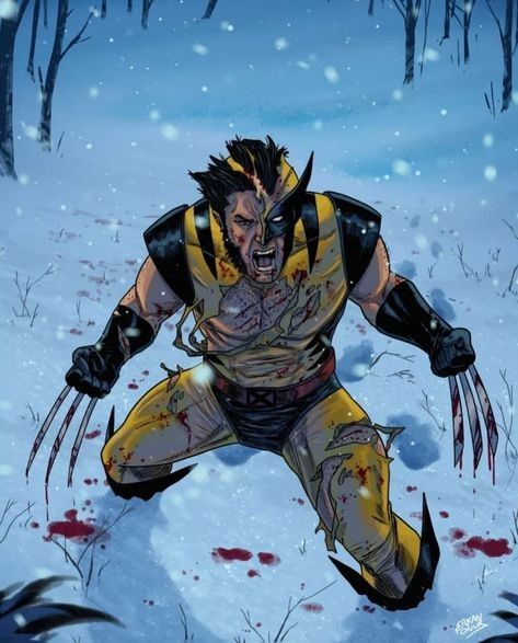 vrillain0's tweet photo. I just want a really violent wolverine who does no mercy https://t.co/MGX98mOmbs