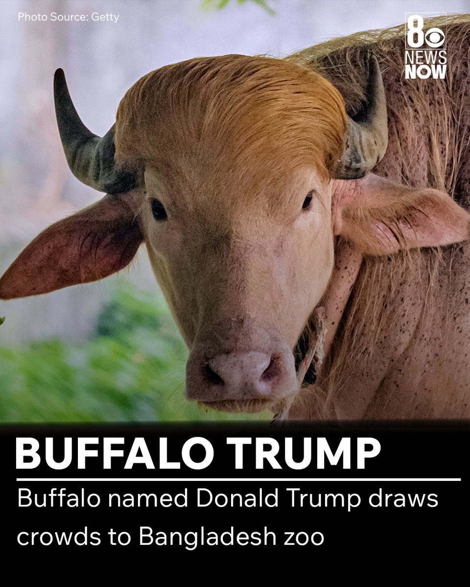8 News Now tweet media