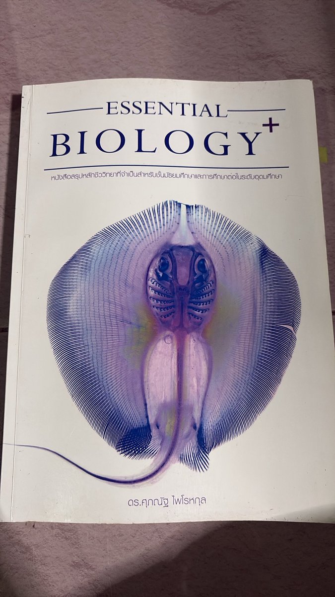pigletForfat's tweet photo. หนังสือกระเบนกับดอกไม้รวม2เล่ม250฿ ซื้อแยกกระเบน200฿ ดอกไม้90฿ https://t.co/k6B3YtD3hW