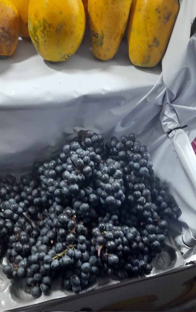 SimplyDeeya's tweet photo. @mynzagric254 @Chris69Mars @30 Mulikuwa mnasemaje? Picha ndio hiyo &amp; this is the 3rd vendor metres apart same street.  Niliwambia ni season South Africa from May, so ziko mob KE streets. Bei inanza 30bob tiny bunch highest 100bob big bunch https://t.co/CHCfy6wruo