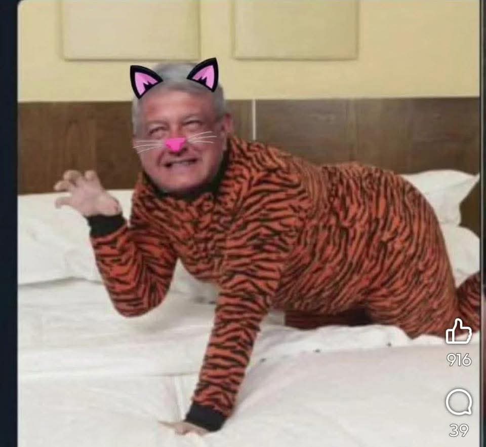 Gosts_'s tweet photo. @lopezobrador_ Mi compadre el tigre https://t.co/nGHOYasbzz