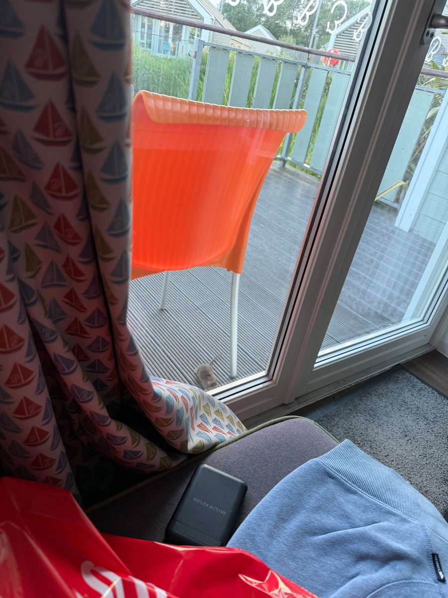 cradcliffe1991's tweet photo. @Butlins We saved up for a family holiday. This is what we got.
Rats on our decking (we have photos). Chalet so dirty we had to clean it ourselves. 1hr+ just to get into a live chat queue with guest services.
🧵 1/2 https://t.co/56eacZE9uI