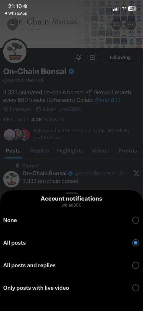 blaq300's tweet photo. @EmmiltonG @onchainbonsai All done champ 🔥🖼️

0x60c4875Ff8B6F11589EB29b4EB956406A4f59e84 https://t.co/2gSU7tM0P0