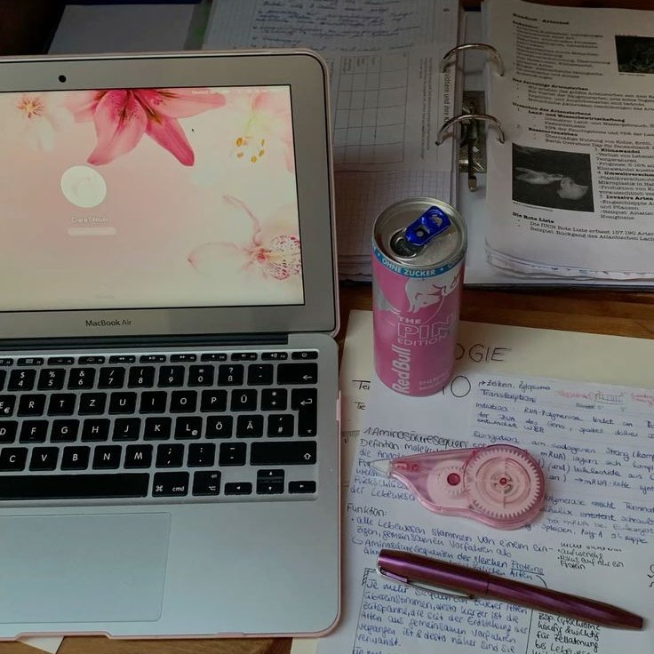 Emma | studytwt tweet media