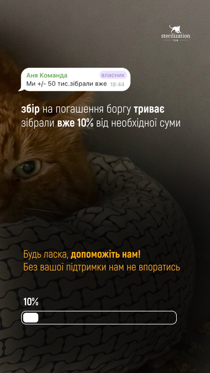 SterilizationT's tweet photo. Ми вдячні за підтримку🙏
Збір триває і нам дуже потрібна допомога!
Завтра будуть оновлені рахунки з клінік і частинку оплатимо. Звіти опублікуємо в коментарях.
А поки, працюємо в закритому економ режимі.
Допомогти тут👇
https://t.co/4JhPlW5WA9
#sterilizationteam #притулок https://t.co/P17O2v3G05
